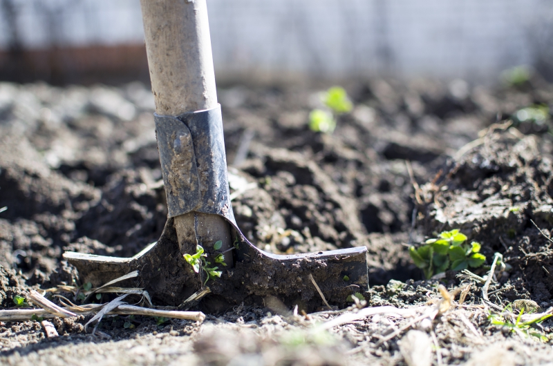 jardinerie-ST MARTIN DU VAR-min_equipment-2047314